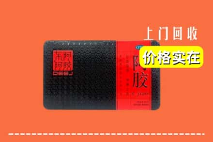 厦门集美区回收阿胶