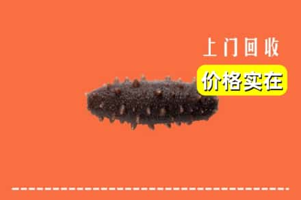 厦门集美区回收海参