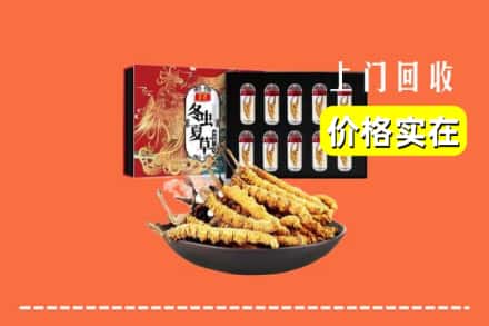 厦门集美区回收虫草